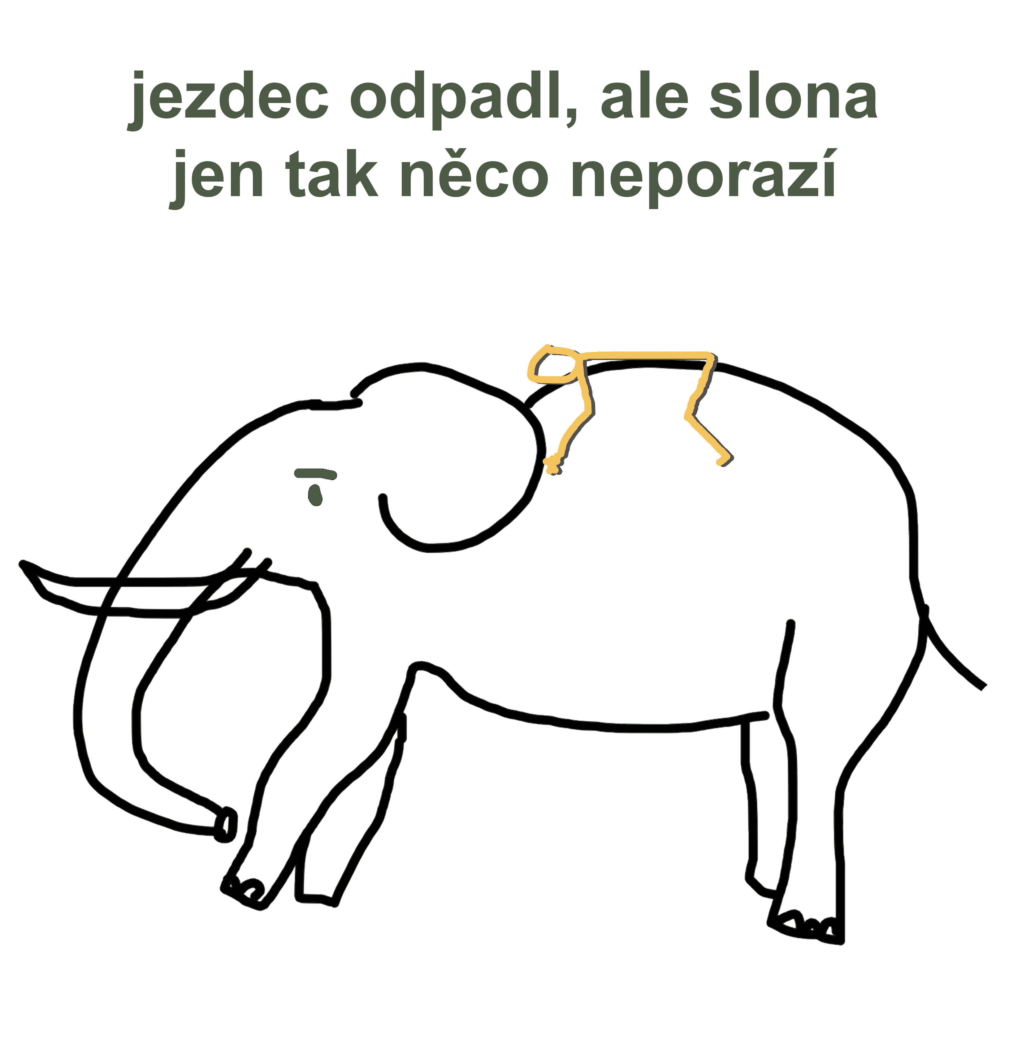 Bezvládný jezdec je nesen slonem